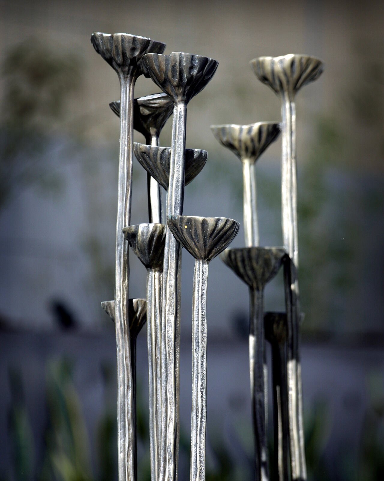 Fiona Foley