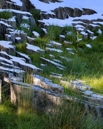 Sarah Sze